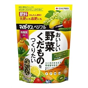 Vendita Piante Online Per Casa E Giardino Vivaio Online Vendita Piante Online Per Casa E Giardino Vivaio Online