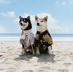 �������o�[ / �L�}�O����