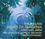 AGUAS DA AMAZONIA