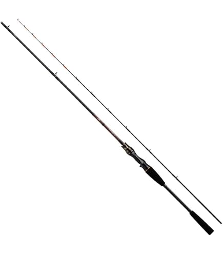 Amazon | ダイワ(DAIWA) 船竿 アナリスターアマダイ 195 釣り竿 