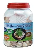 菜菜畑 デコレーションシェルL(1.5kg)F6659