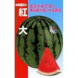 スイカ 種 【 紅大 】 種子 小袋（約8粒）
