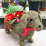 犬のダックスと季節の花鉢　（ヘリクリサムとポリアン）寄せ鉢ギフト 誕生日やお祝いに花のプレゼント