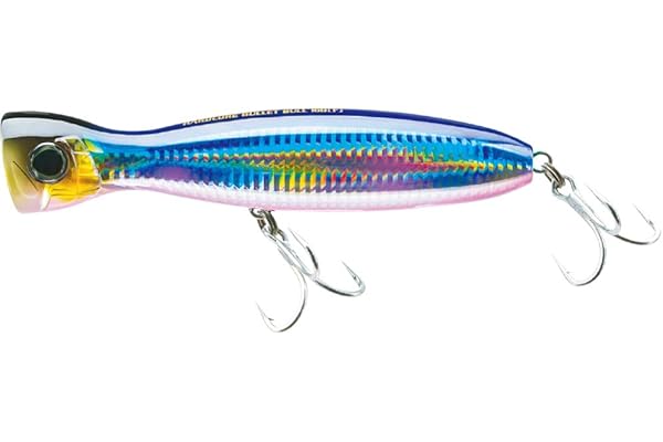 Amazon Co Jp 売れ筋ランキング ペンシル ポッパー の中で最も人気のある商品です