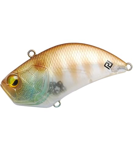 Amazon | レイドジャパン(Raid Japan) レベルバイブブースト11g 022