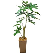 光触媒 人工観葉植物 パキラ13666 Amazon｜パキラ 110㎝ 人工観葉植物 フェイクグリーン 観葉植物
