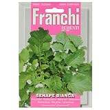 野菜の種 ホワイトマスタード 3006-1