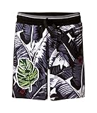 [ドルチェアンドガッバーナ] Dolce & Gabbana Kids ボーイズ Banana Leaf Shorts (Toddler/Little Kids) パンツ Black 2T (Todd
