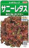サカタのタネ 実咲野菜3671 レッドウェーブ サニーレタス 10袋セット