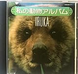 私の動物アルバム