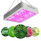 600 W植物成長光、苗充填ランプ、フルスペクトル100 W LED野菜と花のチップ、屋内植物、温室野菜に使用される