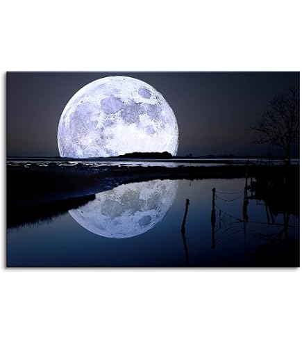 Amazon.co.jp: 枚の油絵 月の夜 1885 ロマンチックな月明かりの風景