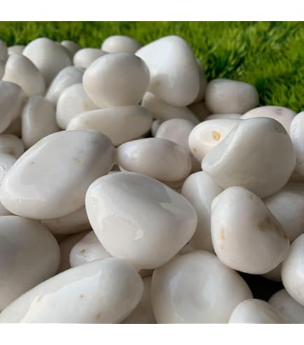 Amazon.co.jp: 伊予石飛び石5石セット庭石鑑賞石石盆石水石灯籠庭坪庭