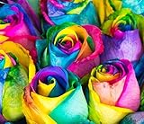 バラの1輪花束　スマートBOX入り 全10種 1本バラ 1本花束 一輪バラ １輪バラ バラ一輪 バラ1輪 化粧箱入り (レインボー) バレンタイン