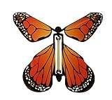 Insect Lore Wind-Up Butterfly by Insect Lore [並行輸入品]