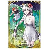 Fate/Grand Order ウエハース11 [10.R：アーチャー/アナスタシア＆ヴィイ](単品)※カードのみです。お菓子は付属しません。