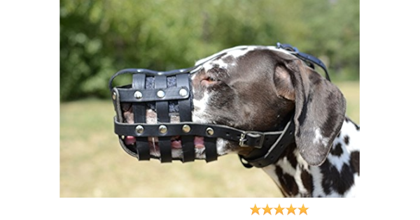 Amazon 大型犬 口輪 ダルメーシアン 口輪 本革製 Fordogtrainers ペット用品 通販