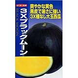 スイカ 種 【 3Xブラックムーン 】 種子 小袋（約10粒）