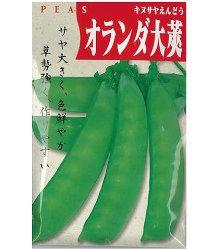 Amazon | 株式会社トーホク 仏国大さやえんどう 01269 | 野菜