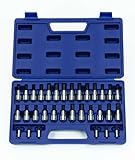 Williams 50681 1/4-Inch and 3/8-Inch Drive Bit Socket Set, 32-Piece by Williams