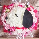 高岡大仏前花金　わんわんパラダイス　（　スヌーピー　風）　（サイズ約23cm×幅：約23cm×高さ：約17cm　）　　母の日　父の日　誕生日　記念日　御祝