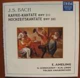 �R�[�q�[&�����J���^�[�^-�I�[�Z���e�B�b�N�E�x�X�g50(42)-