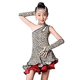 女児 ラテンダンス 練習 演出服 社交ダンス衣装 縞柄 コスチューム ラテンダンス衣装 ドレス ネックレス アームカバー 3点セット (130, ブラウン)