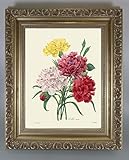 BiblioArt Series　P.J.ルドゥーテ 「カーネーション」 金縁額装品