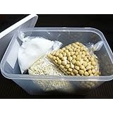 大和屋　≪ 自由研究 キット≫☆特上米麹☆手作り味噌キット1.2kg上がり★レシピ付き★《容器付き》１セット