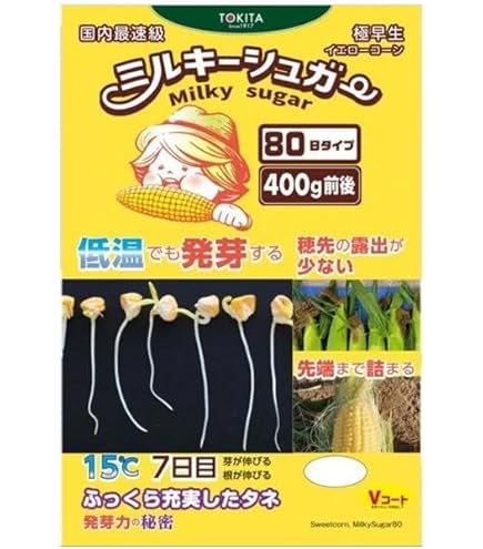 トウモロコシ種「ミルキーシュガー85」1袋 ミルキーシュガー85[とうもろこし] - e-種や｜国内最大級の野菜種・花