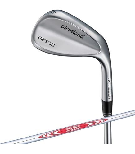 Amazon.co.jp: PING(ピン) 2023PUTTER パター メーカー標準仕様クラブ
