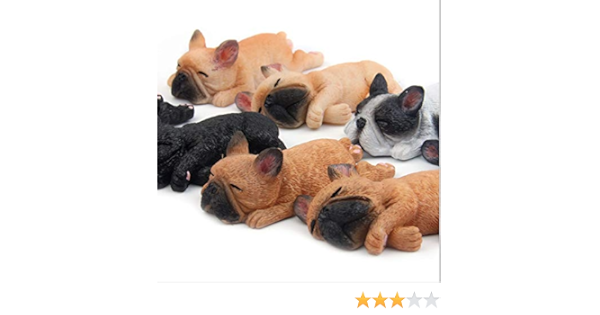Amazon Co Jp フレブル マグネット 伏せ 横向き 犬 各種 雑貨 グッズ ポリレジン カラー パイド 横寝 ホーム キッチン