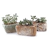 T4U 13.5CM 独創 ストーンシェイプ 多肉植物、サボテン鉢 フラワーポット プランター容器 3個セット