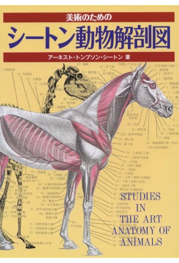 Amazon | An Atlas of Animal Anatomy for Artists (Dover Anatomy for