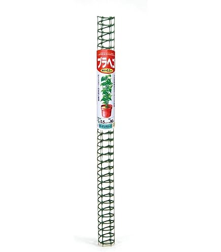 Amazon | プラ支柱 太目 95cm モンステラ ポトス | 支柱