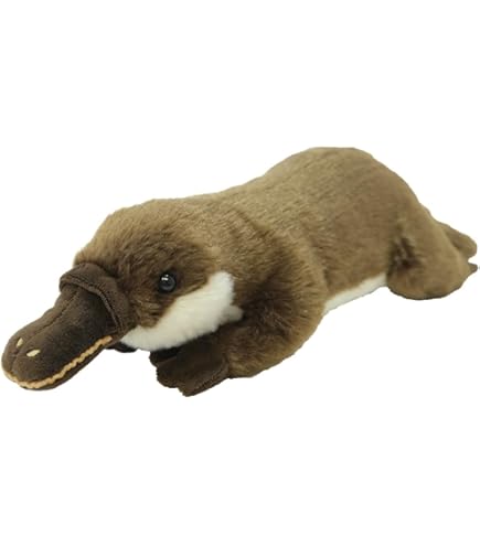 Amazon.co.jp: サン・アロー potte カモノハシ K-9388 : おもちゃ