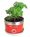 リトルガーデンプロ ミニトマト 野菜 トマト 栽培セット 栽培キット