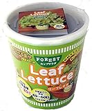フォレスト カップサラダ リーフレタス おうちが菜園!  種まきセット 栽培キット