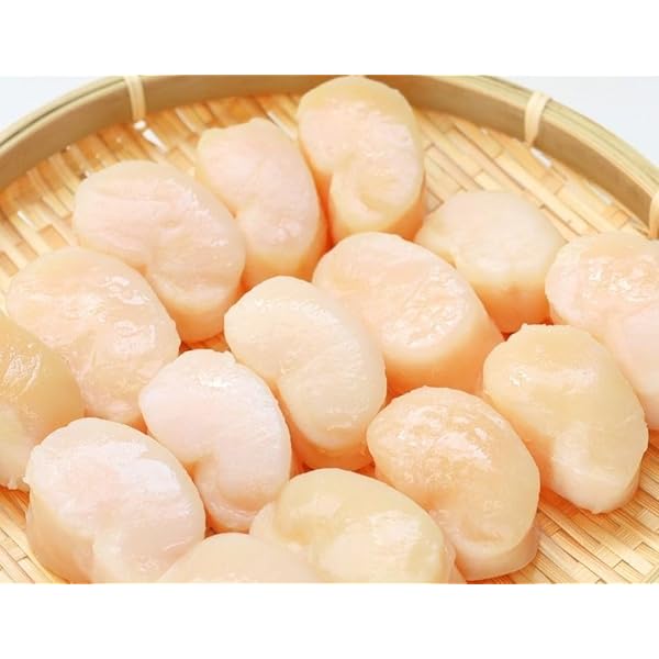Amazon.co.jp: 平貝（タイラギガイ）【冷凍】500g（15～20粒入り） お