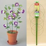 ニチカン　フラワー支柱（特大）　90cm