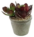 Shinoda Design Center 8623500643 4.25 Faux Succulent in Pot【クリスマス】【ツリー】 [並行輸入品]