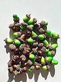 Yunko 50個異なる色シミュレーションのエイコーンの装飾、成熟Acorns and Unripe Acorns