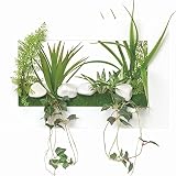 WALL/壁掛けグリーン 観葉植物 光触媒 造花 3Dアートフラワー ドラセナ 391A3040
