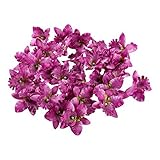 30Pack Lovely Orchid Artificial Flower for DIY Work Home Wedding Party Decor (Dark Purple)【クリスマス】【ツリ