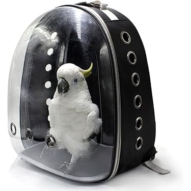 Amazon.co.jp ほしい物ランキング: 鳥用キャリー で、ほしい物