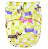 Kawaii Baby One Size Snazzy Minky Cloth Diaper with 2 Microfiber Inserts Cutie by Kawaii Baby