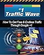 Plus 1 Traffic Wave: How to Get Free and Endless Traffic Through Google +1 (English Edition)