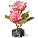 Nationalツリー会社Hydrangeaシルクフラワー ブラック NF36-5063P-1