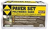 SAKRETE OF NORTH AMERICA 65300037 50 lb Polymeric Sand [並行輸入品]