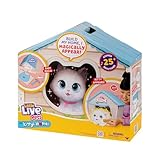 Little Live Pets Cat 置物 子供用 インタラクティブハッチ 動物 プレイセット 25+音 屋外おもちゃ 5歳以上の女の子向け